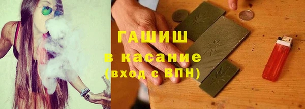 гидра Абаза