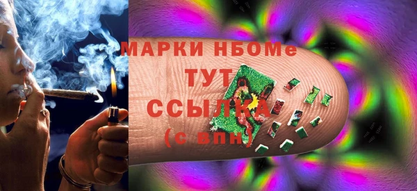 гидра Абаза