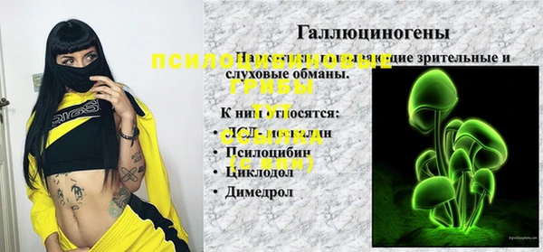 гидра Абаза