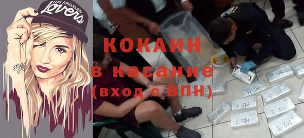 гидра Абаза