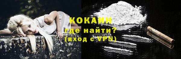 гидра Абаза